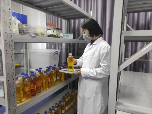 菜篮子 安全有保障 今年河源处理不合格食用农产品超1800公斤