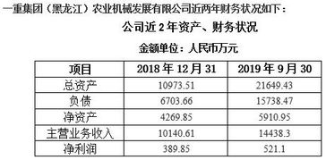 黑龙江农业机械制造公司增资项目941113