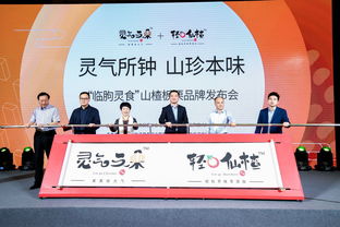 品牌闪耀,助力初级农产品上行