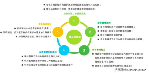 专家观点 浅谈能源 新能源企业 立足数字化业务创新基础上的商业模式创新