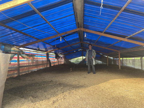 初心之路：开着面包车的带货书记，村民联名写信盼他留任