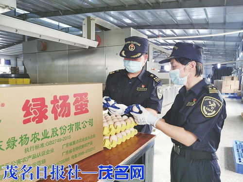 海关助力茂名鲜鸡蛋首次出口，网上销售初级农产品迈新步