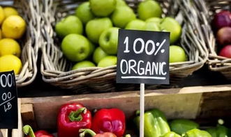 农村电商 网上销售初级农产品必读知识点