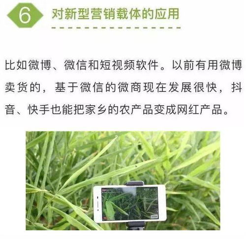 农业七大新型营销模式，学会一个家禽销售就能赚不少