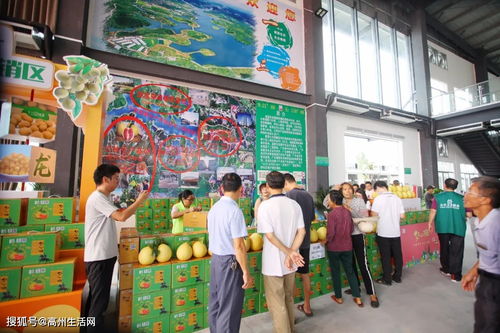 高州市镇江镇扶贫农产品日销超14万元 线上线下融合驱动家禽销售新突破