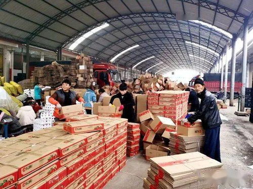 小小水果泡沫托，轻盈承载脱贫梦——探索初级农产品网络销售新路径